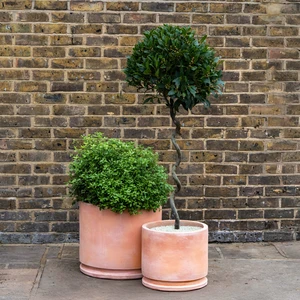 Whitewash Terracotta Planter Sombra (D50x45cm) Handmade Outdoor Plant Pot - image 2
