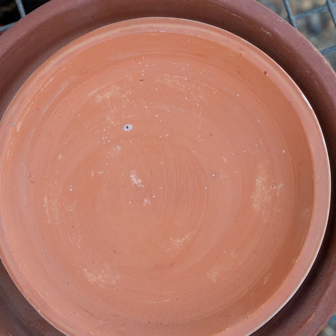 Whitewash Terracotta Saucer - Alicia (D19cm) Outdoor Pot Saucer - image 3