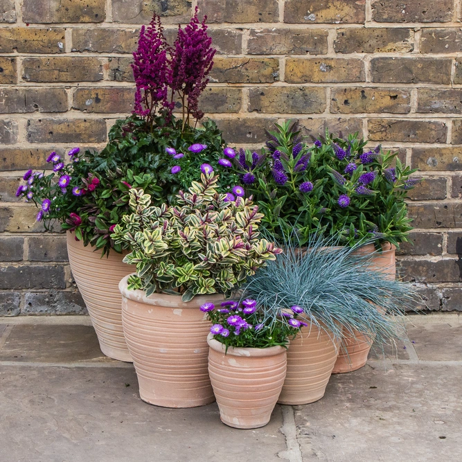 Whitewash Terracotta Stan A2 Planter (D49x38cm) Handmade Outdoor Plant Pot - image 2