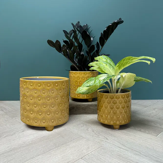 Yellow Gold Burst Pot (D12.5xH11cm) Yellow Gold Ceramic Plant Pot - image 2