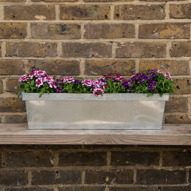 Zinc Trough Window Box Planter - Natural (L60cm x W17cm x H16cm) - image 1