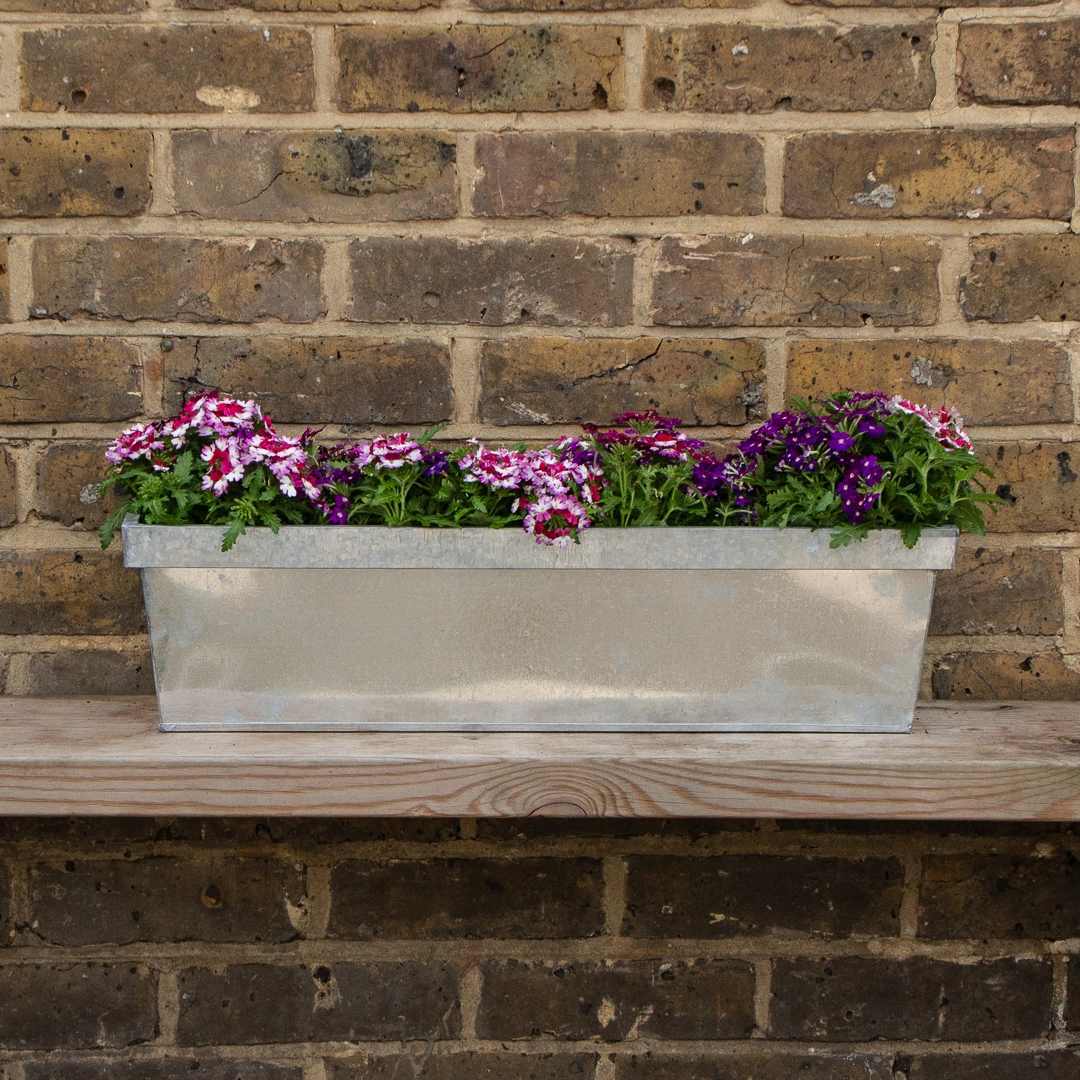 Zinc Trough Window Box Planter - Matt Green (L60cm X W17cm X H16cm